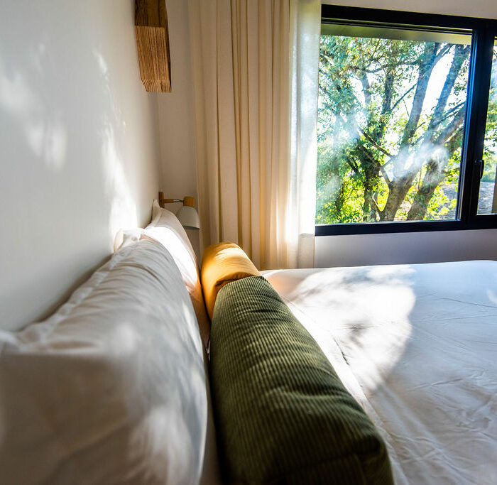 Dans-les-arbres-salle-part2-20